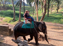 Bucket list: เขาสก - เขื่อนเชี่ยวหลาน 3วัน2คืน Bucket list: เขาสก - เขื่อนเชี่ยวหลาน 3วัน2คืน