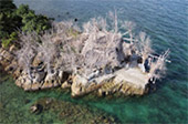 The Cullinan เกาะพงัน 3 วัน 2 คืน The Cullinan เกาะพงัน 3 วัน 2 คืน