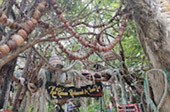 The Cullinan เกาะพงัน 3 วัน 2 คืน The Cullinan เกาะพงัน 3 วัน 2 คืน