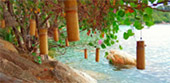 The Cullinan เกาะพงัน 3 วัน 2 คืน The Cullinan เกาะพงัน 3 วัน 2 คืน