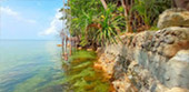 The Cullinan เกาะพงัน 3 วัน 2 คืน The Cullinan เกาะพงัน 3 วัน 2 คืน