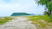 The Cullinan เกาะพงัน 3 วัน 2 คืน The Cullinan เกาะพงัน 3 วัน 2 คืน