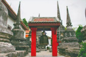 เขื่อนเชี่ยวหลาน โลมาสีชมพู และเขาสก เขื่อนเชี่ยวหลาน โลมาสีชมพู และเขาสก
