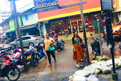 เขื่อนเชี่ยวหลาน โลมาสีชมพู และเขาสก เขื่อนเชี่ยวหลาน โลมาสีชมพู และเขาสก