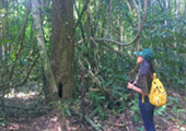 Expect Incredible: สุราษฏร์ธานี 5วัน4คืน Expect Incredible: สุราษฏร์ธานี 5วัน4คืน