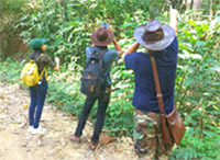 Forest Breath: ใน ดึกดำบรรพ์ Forest Breath: ใน ดึกดำบรรพ์