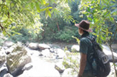 Forest Breath: ใน ดึกดำบรรพ์ Forest Breath: ใน ดึกดำบรรพ์