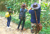 Forest Breath: ใน ดึกดำบรรพ์ Forest Breath: ใน ดึกดำบรรพ์