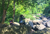 Forest Breath: ใน ดึกดำบรรพ์ Forest Breath: ใน ดึกดำบรรพ์