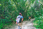 Forest Breath: ใน ดึกดำบรรพ์ Forest Breath: ใน ดึกดำบรรพ์
