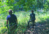 Forest Breath: ใน ดึกดำบรรพ์ Forest Breath: ใน ดึกดำบรรพ์