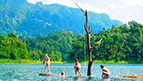 Forest Breath: ใน ดึกดำบรรพ์ Forest Breath: ใน ดึกดำบรรพ์
