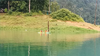 Forest Breath: ใน ดึกดำบรรพ์ Forest Breath: ใน ดึกดำบรรพ์