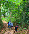 Forest Breath: ใน ดึกดำบรรพ์ Forest Breath: ใน ดึกดำบรรพ์