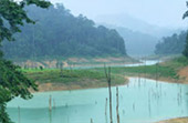 Forest Breath: ใน ดึกดำบรรพ์ Forest Breath: ใน ดึกดำบรรพ์