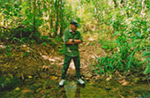 Forest Breath: ใน ดึกดำบรรพ์ Forest Breath: ใน ดึกดำบรรพ์