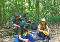 Forest Breath: ใน ดึกดำบรรพ์ Forest Breath: ใน ดึกดำบรรพ์