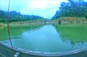 Forest Breath: ใน ดึกดำบรรพ์ Forest Breath: ใน ดึกดำบรรพ์