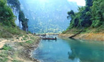 Forest Breath: ใน ดึกดำบรรพ์ Forest Breath: ใน ดึกดำบรรพ์