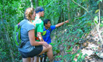 Forest Breath: ใน ดึกดำบรรพ์ Forest Breath: ใน ดึกดำบรรพ์
