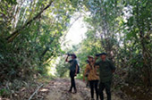 Forest Breath: ใน ดึกดำบรรพ์ Forest Breath: ใน ดึกดำบรรพ์