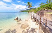 Full Moon Package: พงัน เกาะเต่า Full Moon Package: พงัน เกาะเต่า