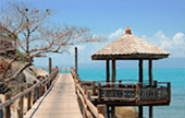 Full Moon Package: พงัน เกาะเต่า Full Moon Package: พงัน เกาะเต่า