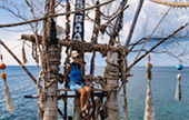 Full Moon Package: พงัน เกาะเต่า Full Moon Package: พงัน เกาะเต่า