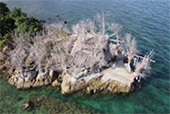Full Moon Package: พงัน เกาะเต่า Full Moon Package: พงัน เกาะเต่า