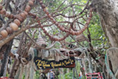 Full Moon Package: พงัน เกาะเต่า Full Moon Package: พงัน เกาะเต่า