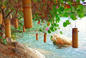 Full Moon Package: พงัน เกาะเต่า Full Moon Package: พงัน เกาะเต่า