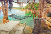 Full Moon Package: พงัน เกาะเต่า Full Moon Package: พงัน เกาะเต่า