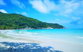 Full Moon Package: พงัน เกาะเต่า Full Moon Package: พงัน เกาะเต่า