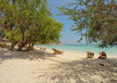 Full Moon Package: พงัน เกาะเต่า Full Moon Package: พงัน เกาะเต่า