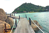 Full Moon Package: พงัน เกาะเต่า Full Moon Package: พงัน เกาะเต่า