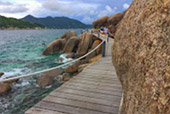 Full Moon Package: พงัน เกาะเต่า Full Moon Package: พงัน เกาะเต่า