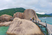 Full Moon Package: พงัน เกาะเต่า Full Moon Package: พงัน เกาะเต่า