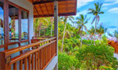 Full Moon Package: พงัน เกาะเต่า Full Moon Package: พงัน เกาะเต่า