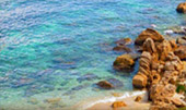 Full Moon Package: พงัน เกาะเต่า Full Moon Package: พงัน เกาะเต่า