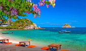 Full Moon Package: พงัน เกาะเต่า Full Moon Package: พงัน เกาะเต่า