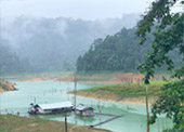 Reach Golden Circle: เขื่อนเชี่ยวหลาน Reach Golden Circle: เขื่อนเชี่ยวหลาน
