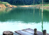 Reach Golden Circle: เขื่อนเชี่ยวหลาน Reach Golden Circle: เขื่อนเชี่ยวหลาน