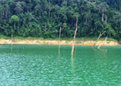 Reach Golden Circle: เขื่อนเชี่ยวหลาน Reach Golden Circle: เขื่อนเชี่ยวหลาน