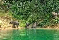 A Long Lake Discovery: ไกลสุดขอบเขื่อน... ในวันเดียว A Long Lake Discovery: ไกลสุดขอบเขื่อน... ในวันเดียว