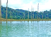 A Long Lake Discovery: ไกลสุดขอบเขื่อน... ในวันเดียว A Long Lake Discovery: ไกลสุดขอบเขื่อน... ในวันเดียว