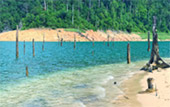 A Long Lake Discovery: ไกลสุดขอบเขื่อน... ในวันเดียว A Long Lake Discovery: ไกลสุดขอบเขื่อน... ในวันเดียว