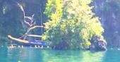 Lake First, First Island Lake First, First Island