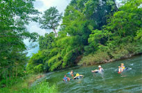 Nature Plays:สุราษฯ เขาสก 2วัน1คืน Nature Plays:สุราษฯ เขาสก 2วัน1คืน