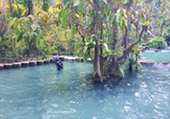 Nature Plays:สุราษฯ เขาสก 2วัน1คืน Nature Plays:สุราษฯ เขาสก 2วัน1คืน