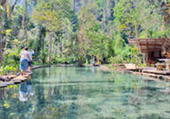 Nature Plays:สุราษฯ เขาสก 2วัน1คืน Nature Plays:สุราษฯ เขาสก 2วัน1คืน